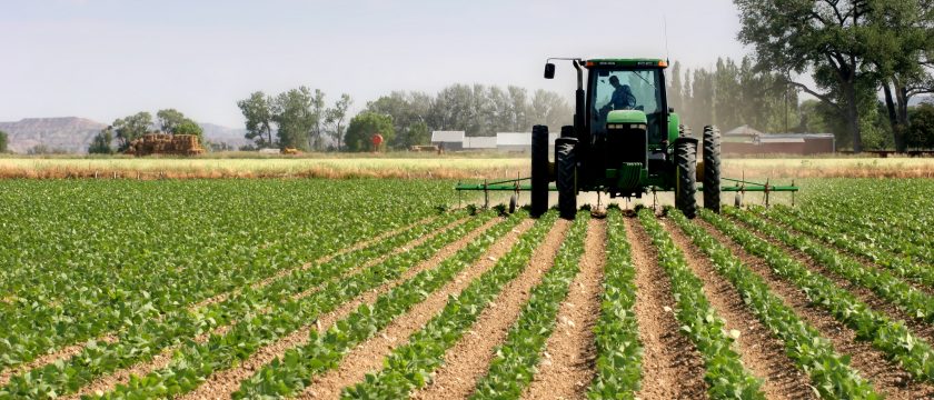 tractor plowing the fields