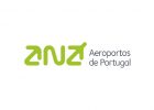 bird-control-portugal-airport