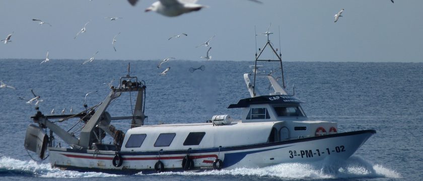 bird-control-slider-7