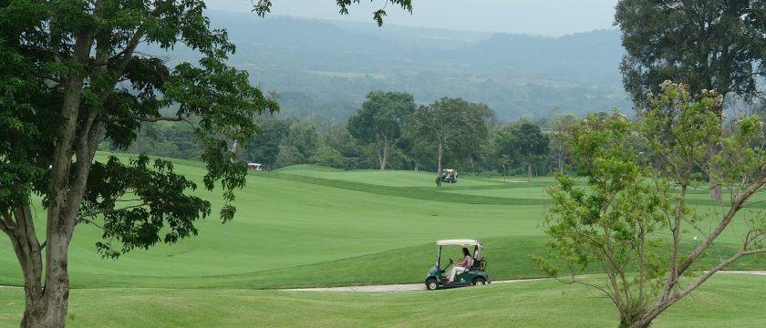 golf-bird-control