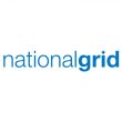 national-grid-bird-control