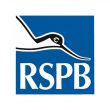 rspb-bird-control