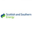 scottish-energy-bird-control