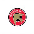 walsall-fc-bird-control