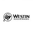 westin-hotel-bird-control