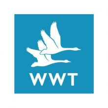 wwt-bird-control