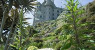 BEFORE with Starlings St Michael’s Mount