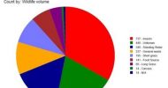 Wildlife Pie chart
