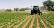 tractor plowing the fields