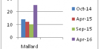 bar chart