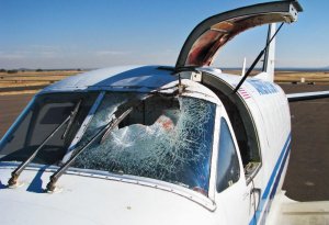 Bird strike – collision with windshield of plane