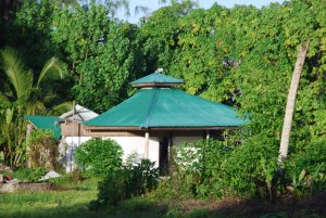 Abandoned building with green roof amongst trees.